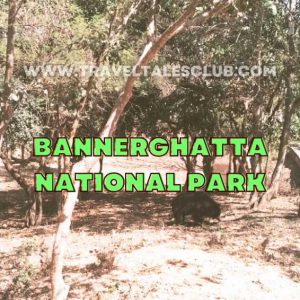 Bannerghatta National Park Bengaluru: Everything You Should Know About