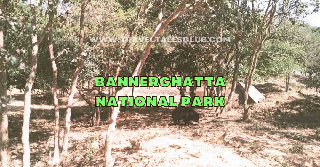 You are currently viewing Bannerghatta National Park Bengaluru: Everything You Should Know About