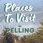 Pelling Sightseeing: 19 Best Places to Add to Your List