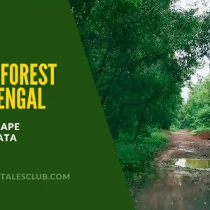 Joypur Forest – Enjoy Nature on a 2 Day Trip from Kolkata